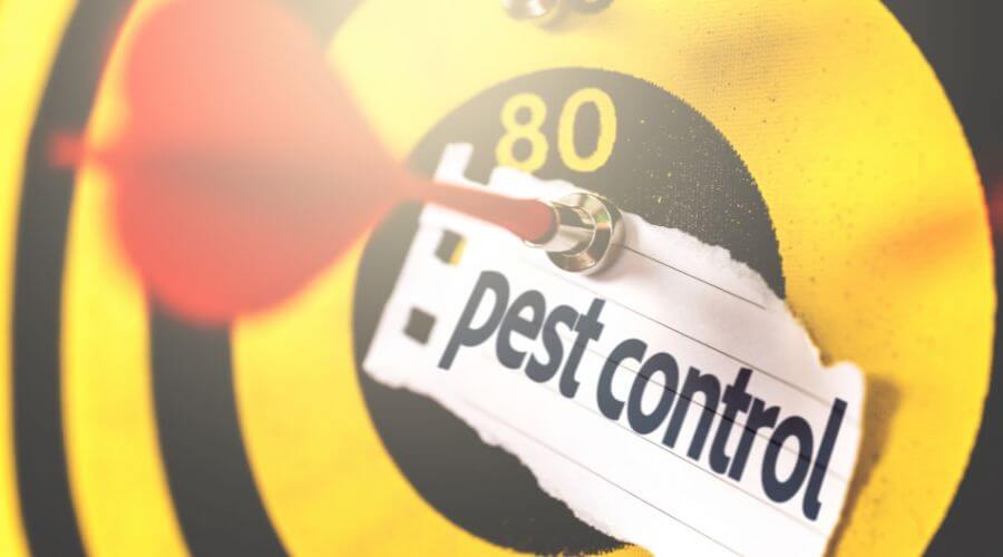 Professional pest removal services services in Canning Vale